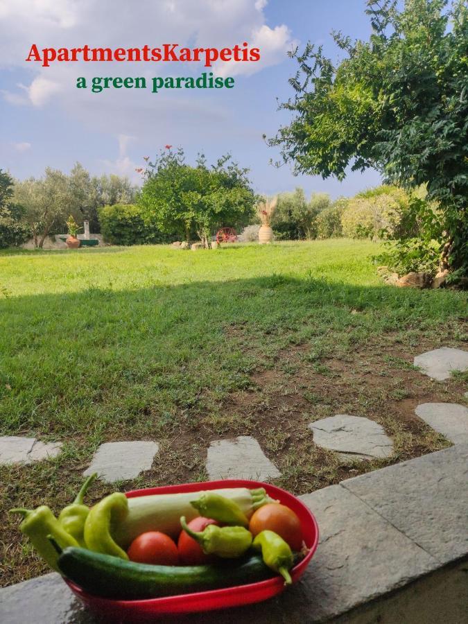 Apartments Karpetis A Green Paradise Psakoudia Exterior photo